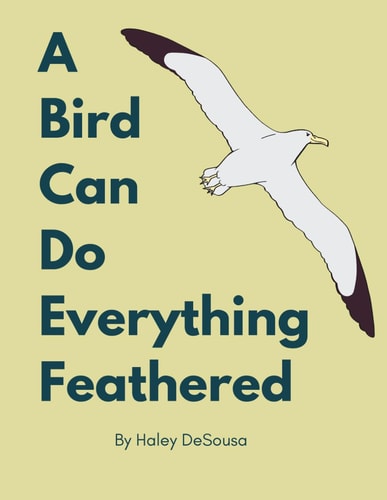 A Bird Can Do Everything Feathers