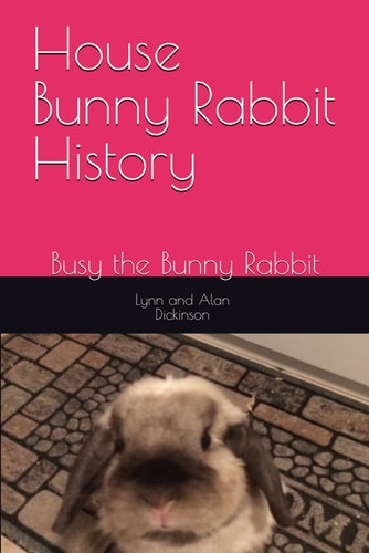 House Bunny Rabbit History Busy the Bunny Rabbit