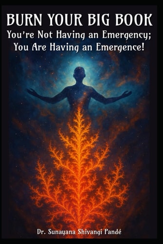 Burn Your Big Book You're Not Having an Emergency; You're Having an Emergence!