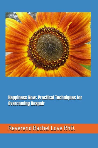 Happiness Now Practical Techniques for Overcoming Despair