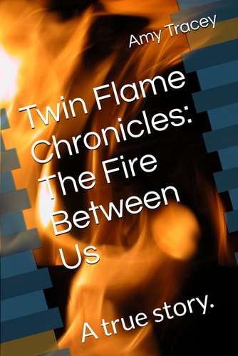 Twin Flame Chronicles The Fire Between Us: A True Story.