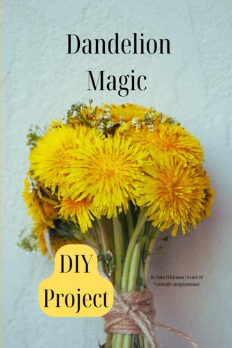 Dandelion Magic DIY Projects