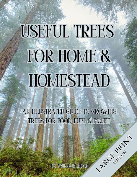 Useful Trees for Home & Homestead: An Illustrated Guide to Growing Trees for Food, Fuel, and Profit: Large Print Edition