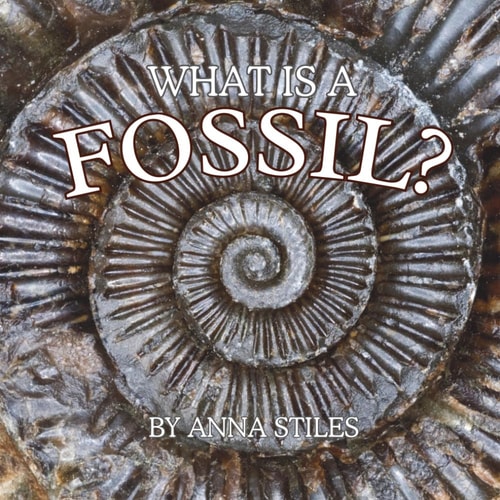 What is a Fossil?