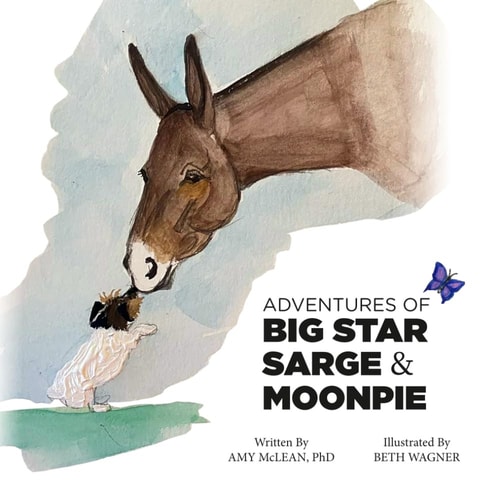 Adventures of Big Star Sarge & Moonpie