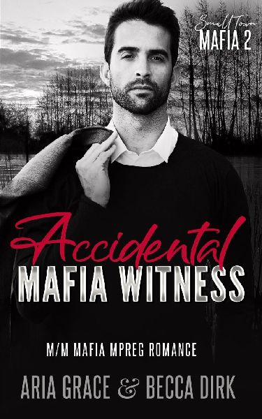 Accidental Mafia Witness: M/M Mafia Mpreg Romance