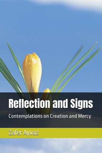 Reflection and Signs Contemplations on Creation and Mercy
