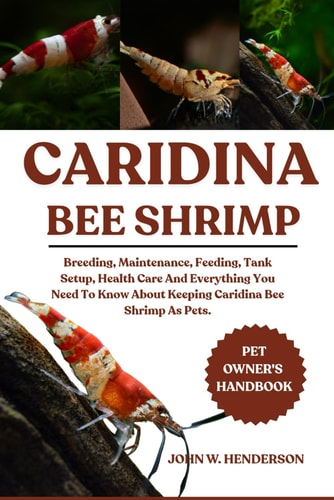 Caridina Bee Shrimp Breeding, Maintenance, Feeding, Tank Setup, Health Care And Everything You Need To Know About Keeping Caridina Bee Shrimp As Pets.
