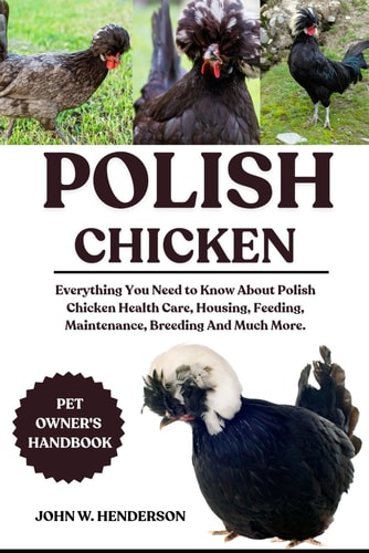 Polish Chicken Everything You Need to Know About Polish Chicken Health Care, Housing, Feeding, Maintenance, Breeding And Much More.