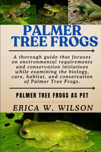 Palmer Tree Frogs Palmer Tree Frogs as Pet