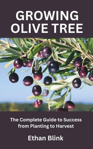 Growing Olive Tree The Complete Guide to Success from Planting to Harvest