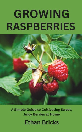 Growing Raspberries A Simple Guide to Cultivating Sweet, Juicy Berries at Home