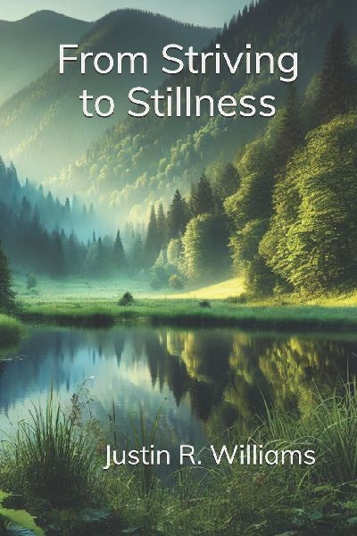 From Striving to Stillness: Letting Go of the Chase for More and Embracing What Is