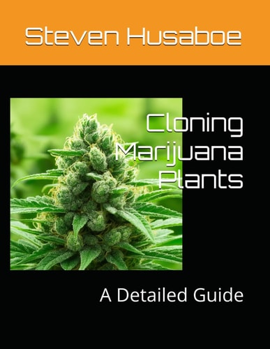 Cloning Marijuana Plants A Detailed Guide