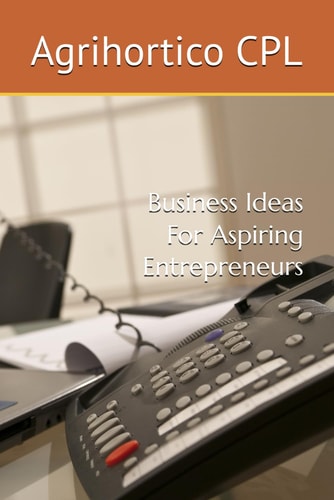 Business Ideas For Aspiring Entrepreneurs
