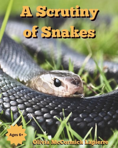 A Scrutiny of Snakes