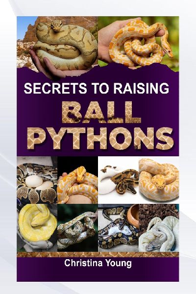 SECRETS TO RAISING BALL PYTHONS