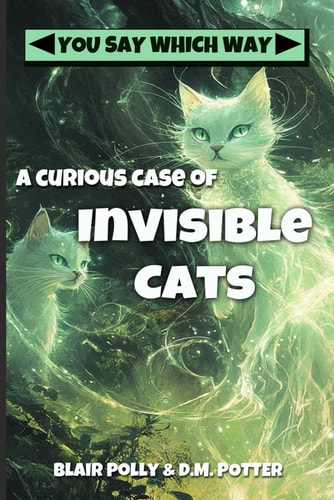 A Curious Case of Invisible Cats You Say Which Way