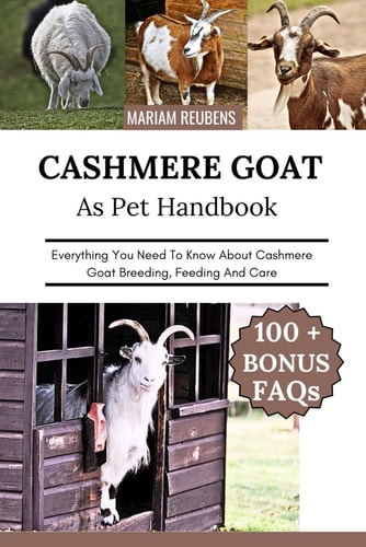 Cashmere Goat Everything You Need To Know About Cashmere Goat Breeding, Feeding And Care