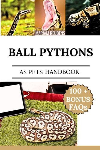 Ball Pythons as Pets