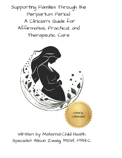 Supporting Families Through the Peripartum Period: : A Clinicians Guide for Affirmative, Practical, and Therapeutic Care