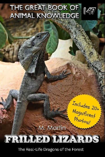 Frilled Lizards: The Real-Life Dragons of the Forest