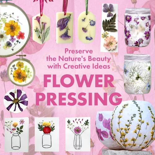 Flower Pressing Preserve the Nature's Beauty with Creative Ideas