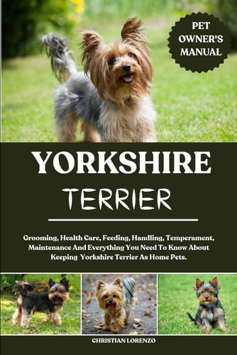 Yorkshire Terrier Grooming, Health Care, Feeding, Handling, Temperament, Maintenance And Everything You Need To Know About Keeping Yorkshire Terrier As Home Pets.