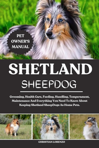 Shetland Sheepdog Grooming, Health Care, Feeding, Handling, Temperament, Maintenance And Everything You Need To Know About Keeping Shetland SheepDogs As Home Pets.