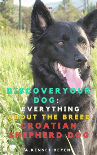 Discoveryour Dog Everything about the Breed Croatian Shepherd Dog