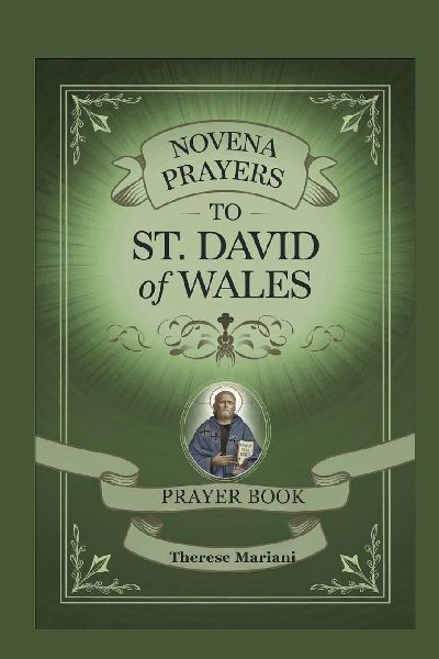 Novena to St. David of Wales: A Nine-Day Prayer Devotion for Faith, Humility, and Welsh Spiritual Legacy