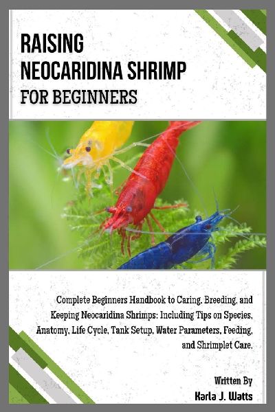 RAISING NEOCARIDINA SHRIMP FOR BEGINNERS: Complete Beginners Handbook to Breeding & Keeping Neocaridina Shrimps: Including Tips on Species, Anatomy, Life Cycle, Tank Setup, Feeding & Shrimplet Care.