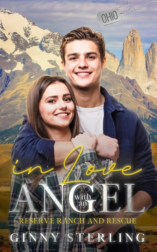 In Love with an Angel A Brother's Best Friend Forced Proximity Romance