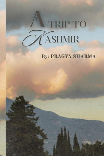 A Trip To Kashmir