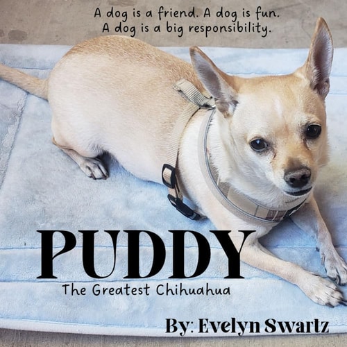 Puddy The Greatest Chihuahua