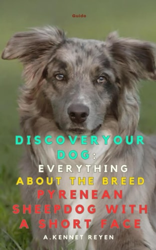 Discover Your Dog Everything about the Breed Pyrenean Sheepdog with a Short Face