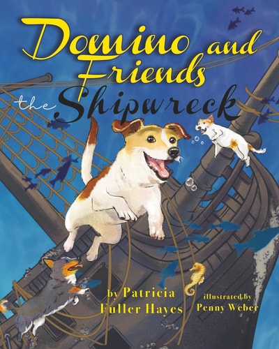 Domino and Friends - The Shipwreck
