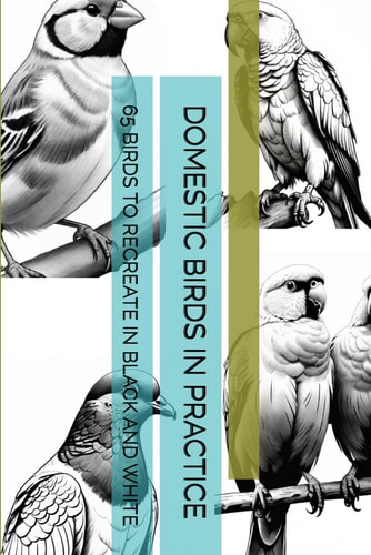 Domestic Birds in Practice 65 Birds to Recreate in Black and White
