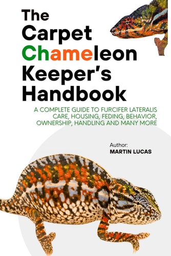 The Carpet Chameleon Keeper's Handbook A Complete Guide to Furcifer Lateralis Care, Housing, Feding, Behavior, Ownership, Handling and Many More