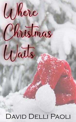 Where Christmas Waits Grief Stole His World, Christmas Gave Him Back His Soul.