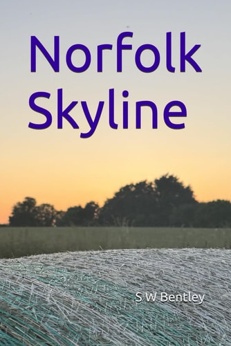 Norfolk Skyline