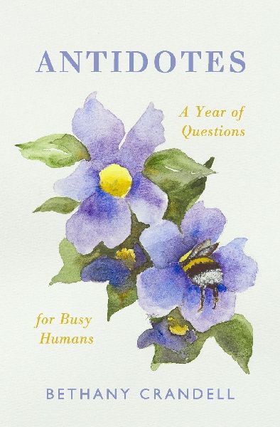 Antidotes: A Year of Questions for Busy Humans