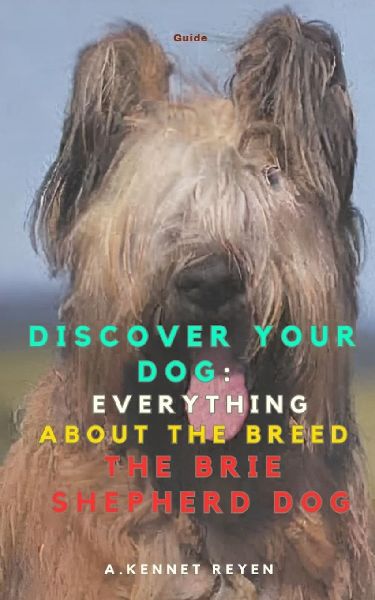 Discover your Dog: Everything about the breed The Brie Shepherd Dog