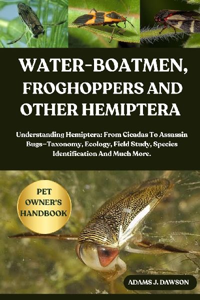 WATER-BOATMEN, FROGHOPPERS AND OTHER HEMIPTERA: Understanding Hemiptera: From Cicadas To Assassin Bugs-Taxonomy, Ecology, Field Study, Species Identification And Much More.