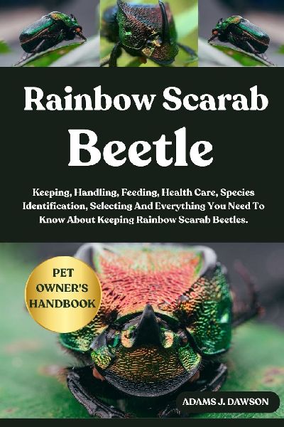 RAINBOW SCARAB BEETLE: Keeping, Handling, Feeding, Health Care, Species Identification, Selecting And Everything You Need To Know About Keeping Rainbow Scarab Beetles.
