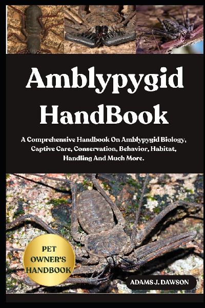 AMBLYPYGID HANDBOOK: A Comprehensive Handbook On Amblypygid Biology, Captive Care, Conservation, Behavior, Habitat, Handling And Much More.