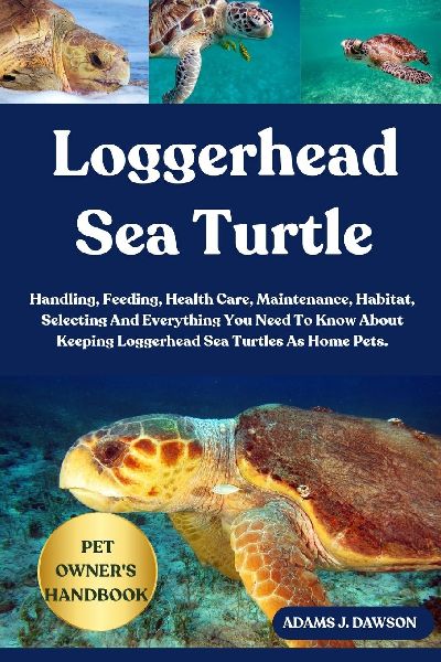 LOGGERHEAD SEA TURTLE: Handling, Feeding, Health Care, Maintenance, Habitat, Selecting And Everything You Need To Know About Keeping Loggerhead Sea Turtles As Home Pets.
