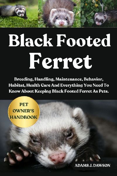 BLACK FOOTED FERRET: Breeding, Handling, Maintenance, Behavior, Habitat, Health Care And Everything You Need To Know About Keeping Black Footed Ferret As Pets.