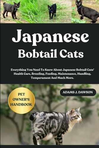 Japanese Bobtail Cats Everything You Need To Know About Japanese Bobtail Cats' Health Care, Breeding, Feeding, Maintenance, Handling, Temperament And Much More.