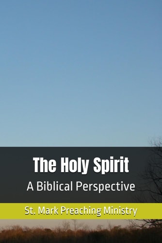 HOLY SPIRIT A Biblical Perspective